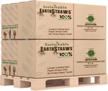 Load image into Gallery viewer, EarthStraws Wholesale Case